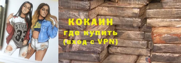mdpv Вяземский