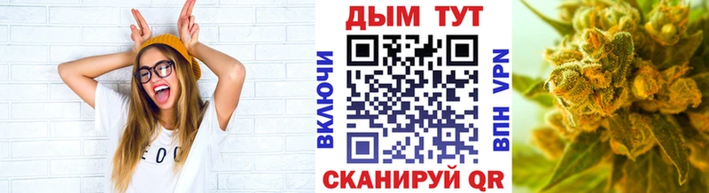 Марихуана план Махачкала